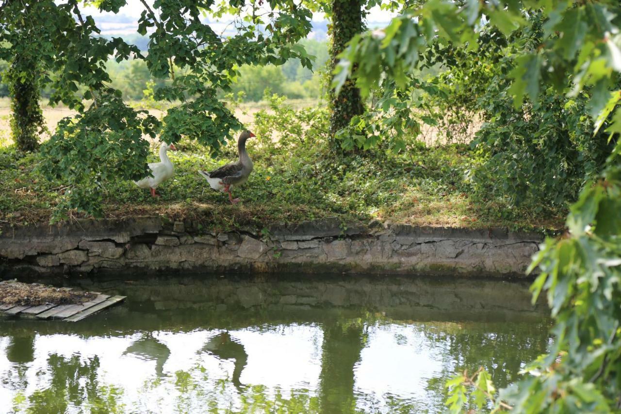 Chateau De La Frogerie Bed & Breakfast Maulevrier Bagian luar foto