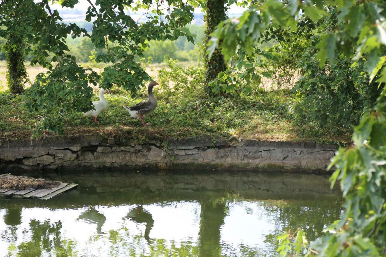 Chateau De La Frogerie Maulevrier Bagian luar foto