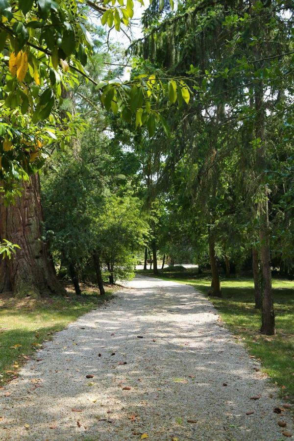 Chateau De La Frogerie Bed & Breakfast Maulevrier Bagian luar foto